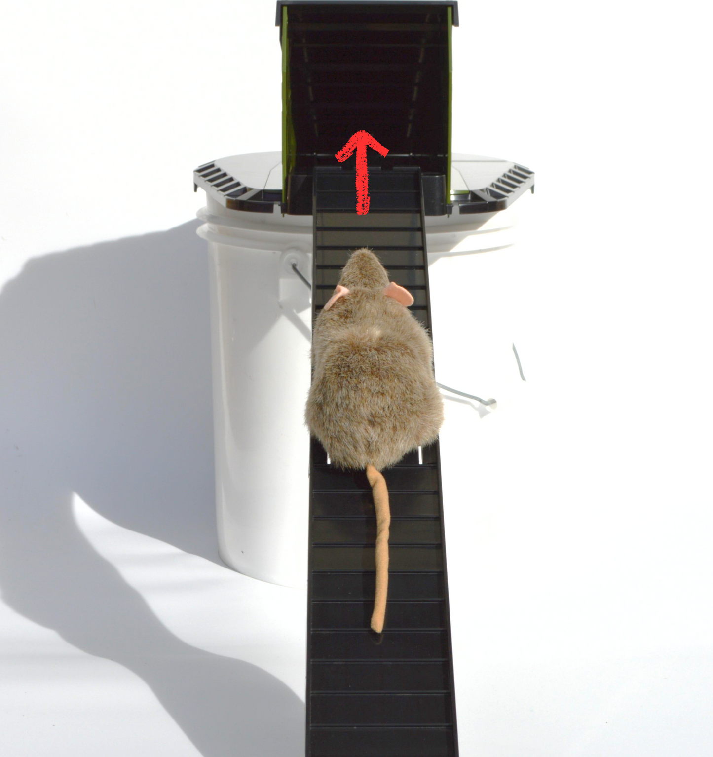 Bucket Lid Trap by Vulcan – Multi-Catch, Humane or Lethal Rodent Trap for Rats, Squirrels, Chipmunks and Mid-Sized Rodents (Not a Mouse Trap)