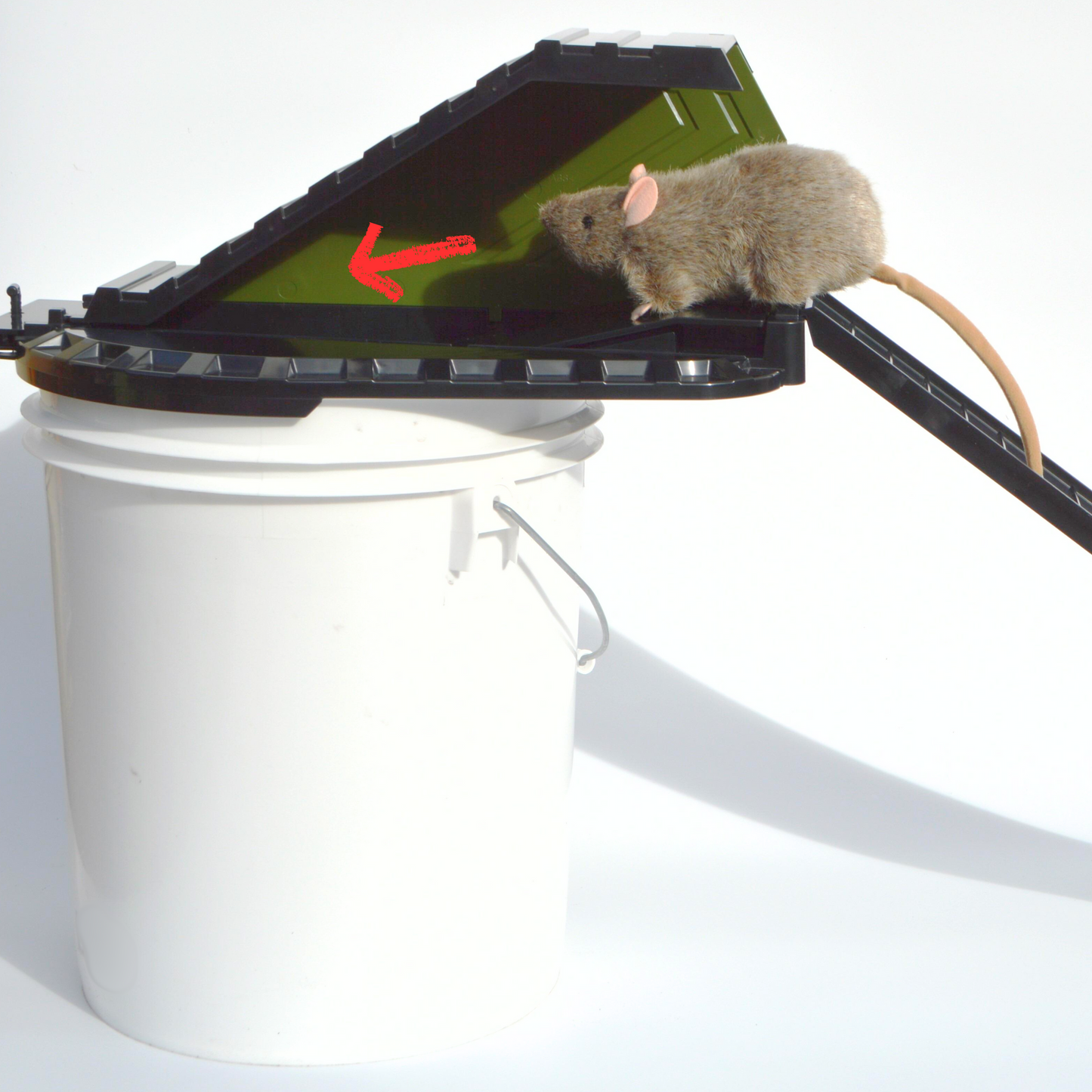 Bucket Lid Trap by Vulcan – Multi-Catch, Humane or Lethal Rodent Trap for Rats, Squirrels, Chipmunks and Mid-Sized Rodents (Not a Mouse Trap)