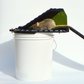 Bucket Lid Trap by Vulcan – Multi-Catch, Humane or Lethal Rodent Trap for Rats, Squirrels, Chipmunks and Mid-Sized Rodents (Not a Mouse Trap)
