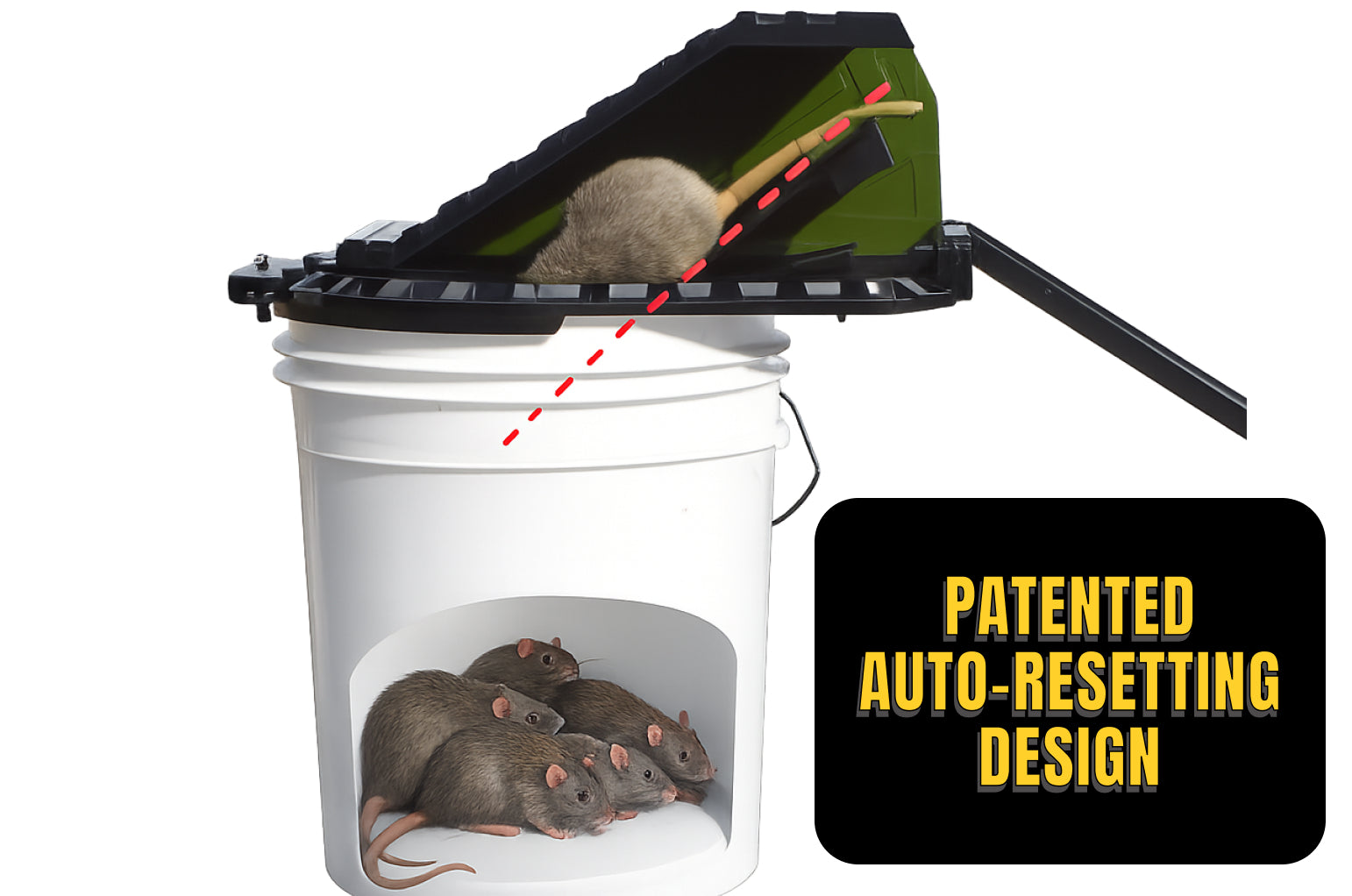 The Vulcan: Bucket Lid Trap for Rats, Squirrels, Chipmunks, and Other Mid-Sized Rodents