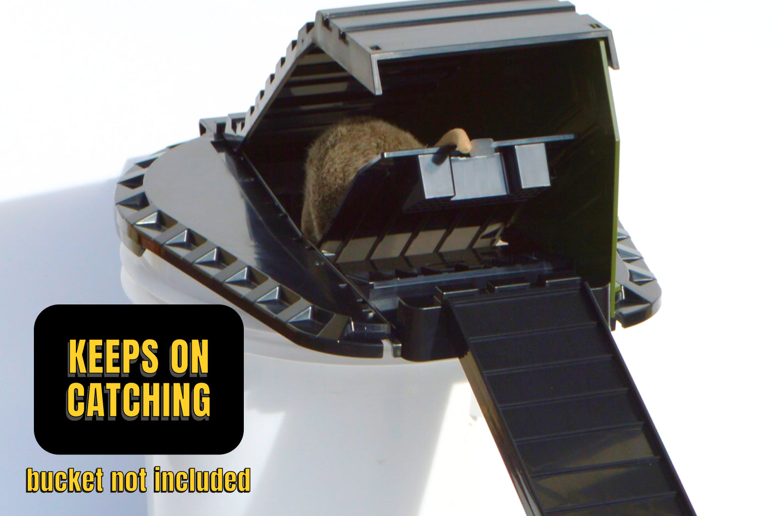 The Vulcan: Bucket Lid Trap for Rats, Squirrels, Chipmunks, and Other Mid-Sized Rodents